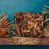 Plaque Photo Grasshopper frit (Takkataen Thot) Alimentation asi (Côté)