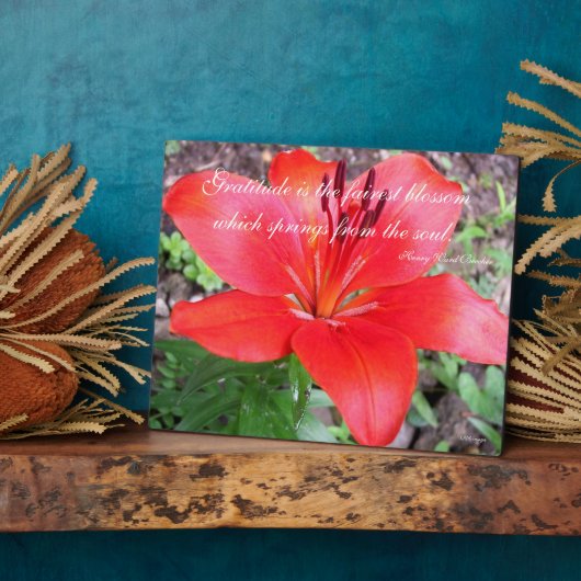Plaque Photo Gratitude Lilie (Côté)