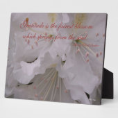 Plaque Photo Gratitude Rhododendrons (Côté)