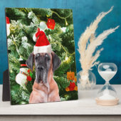 Plaque Photo Great Dane w Christmas Tree Cadeaux Boîtes de Noël (Côté)