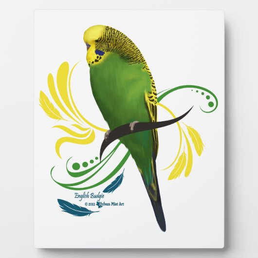 Plaque Photo Green English Budgie (Devant)