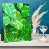Plaque Photo Green feuille Palm Leaf feuillage tropical jungle (Côté)