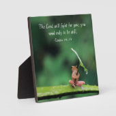Plaque Photo Green Frog Inspirational (Recto)
