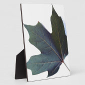 Plaque Photo Green leaf (Côté)