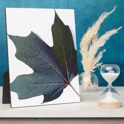 Plaque Photo Green leaf (Côté)