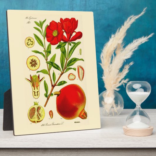 Plaque Photo Grenade (Côté)