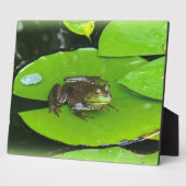 Plaque Photo Grenouille taureau sur Lilypads (Côté)