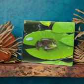 Plaque Photo Grenouille taureau sur Lilypads (Côté)