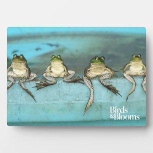 Plaque Photo Grenouilles assis