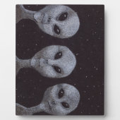 Plaque Photo Gris Alien (Devant)