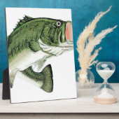 Plaque Photo Gros Basse Bouche (Côté)