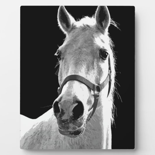 Plaque Photo Gros plan Cheval blanc noir en nuit (Devant)
