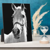 Plaque Photo Gros plan Cheval blanc noir en nuit (Côté)