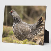 Plaque Photo Groupement fier (Côté)