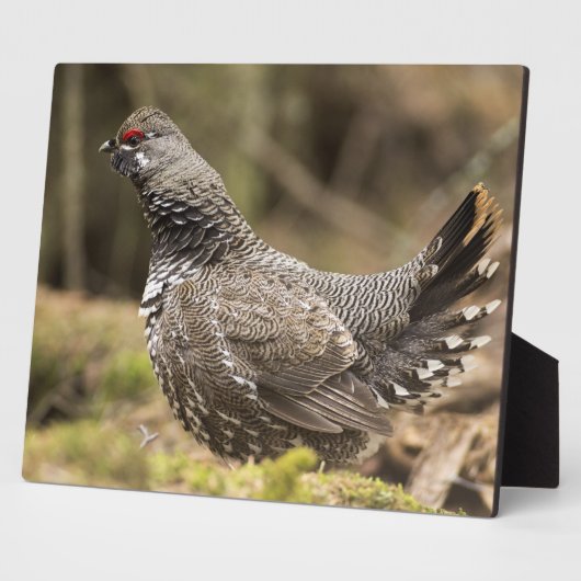 Plaque Photo Groupement fier (Côté)