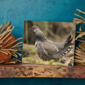 Plaque Photo Groupement fier (Côté)