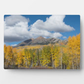 Plaque Photo Gunnison National Forest, Colorado (Devant)