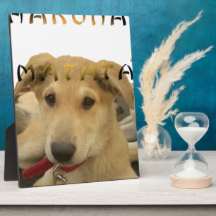 Plaque Photo "Hakuna Matata Pup" – Amour de chiot sans souci