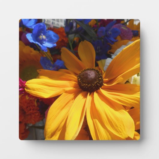 Plaque Photo Halte (Devant)