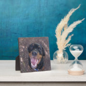 Plaque photo Happy Heidi Rottweiler (Insitu)