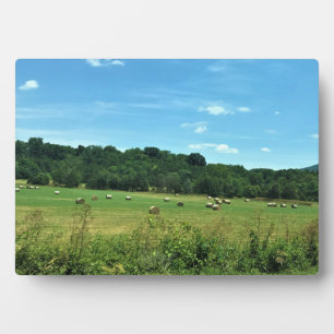 Plaque Photo Hay Bales, Wytheville, Virginie