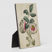 Plaque Photo Hellebore végétal vintage (Côté)