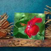 Plaque Photo Hibiscus Blossom (Côté)