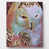 PLAQUE PHOTO HIBOU (Devant)