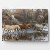 Plaque Photo Hideout Horse Ranch (Devant)