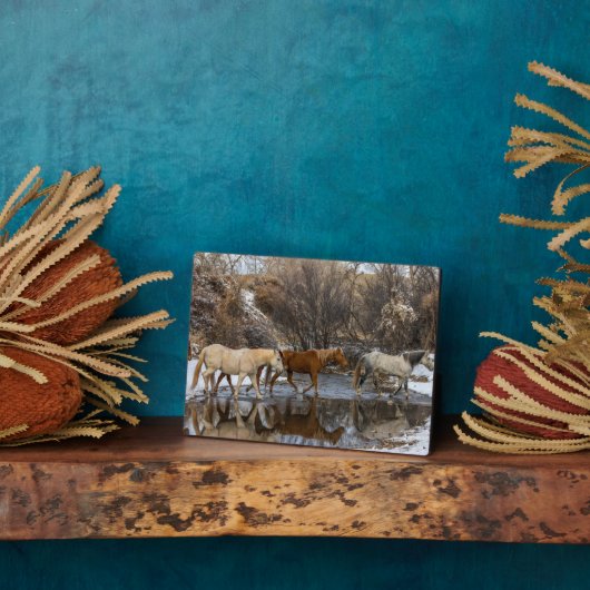 Plaque Photo Hideout Horse Ranch (Côté)