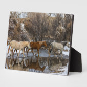 Plaque Photo Hideout Horse Ranch (Côté)