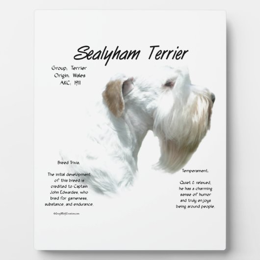 Plaque Photo Histoire de Sealyham Terrier (Devant)