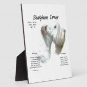 Plaque Photo Histoire de Sealyham Terrier (Côté)