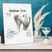 Plaque Photo Histoire de Sealyham Terrier (Côté)
