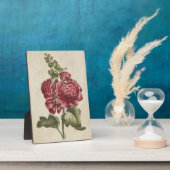 Plaque Photo Hollyhock vintage botanique (Côté)