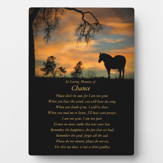 Plaque Photo Hommage À Cheval Equine En Mémoire Amoureuse (Devant)