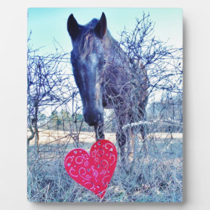 Plaque Photo Horse et heart