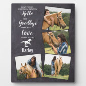 Plaque Photo Horse Pet Memorial Sympathy Citation Keepsaké (Devant)