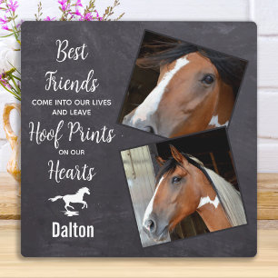 Plaque Photo Horse Photo souvenir Pet Memorial