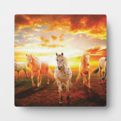 Plaque Photo Horses at sunset throw pillow (Devant)