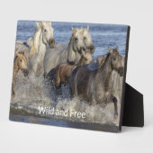 Plaque Photo Horses galloping in the water (Côté)