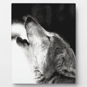 Plaque Photo Howling Wolf (Devant)