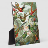 Plaque Photo Humming Birds Paradise Art (Côté)