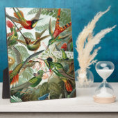 Plaque Photo Humming Birds Paradise Art (Côté)