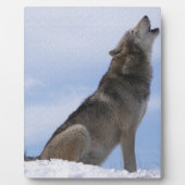 Plaque Photo Hurlement de loup (Devant)