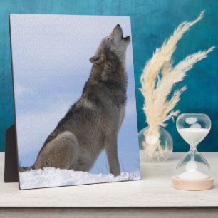 Plaque Photo Hurlement de loup