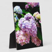 Plaque Photo Hydrangea garden, rose, bleu, purple floral (Côté)