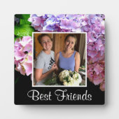 Plaque Photo hydrangea jardin rose violet bleu vert fleuri (Devant)