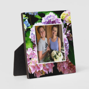 Plaque Photo hydrangea jardin rose violet bleu vert fleuri