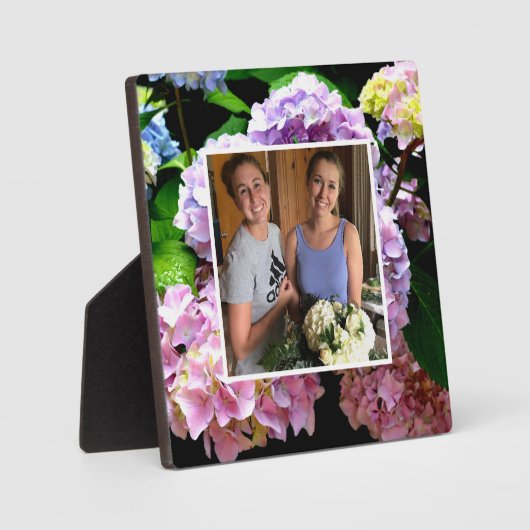 Plaque Photo hydrangea jardin rose violet bleu vert fleuri (Recto)